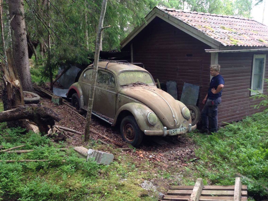 IMG_0093.JPG, 325.16 kb, 1136 x 852