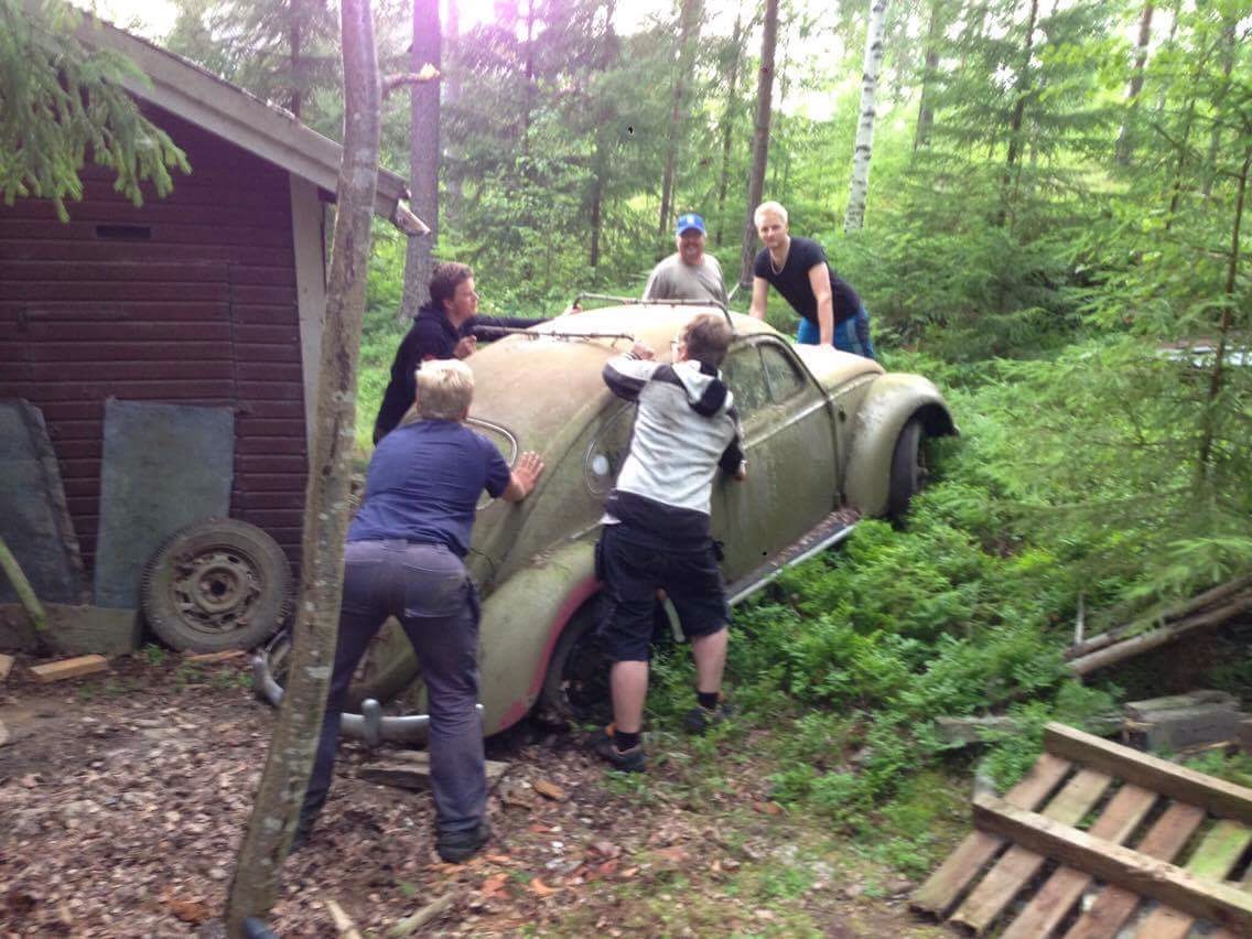 IMG_0091.JPG, 250.18 kb, 1136 x 852