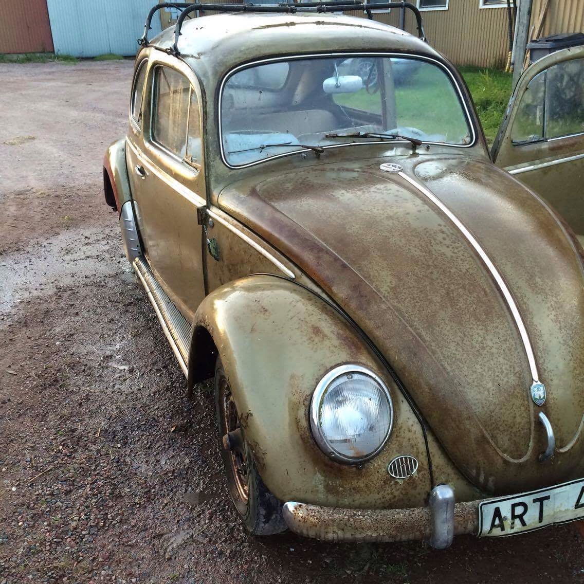 IMG_0047.JPG, 390.31 kb, 1136 x 1136