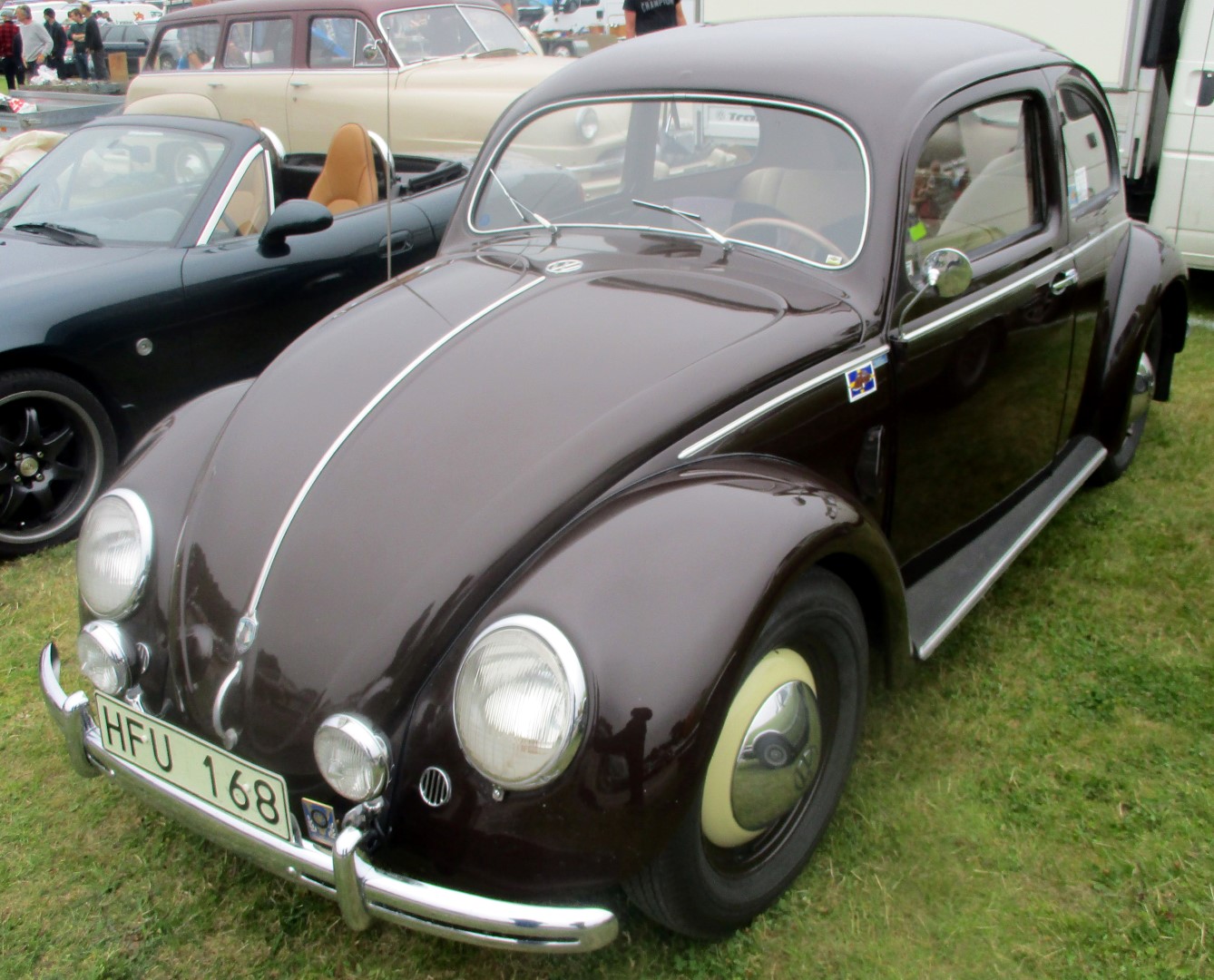 IMG_5706b (Large).JPG, 313.24 kb, 1338 x 1080