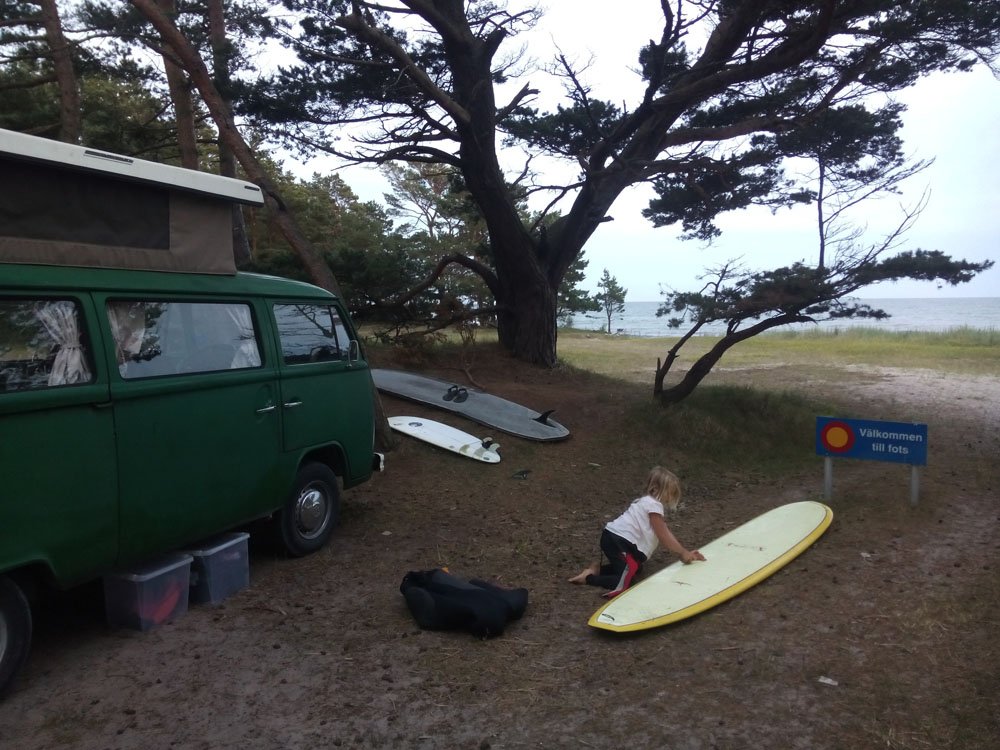 IMG_20170710_204735.jpg, 198.75 kb, 1000 x 750