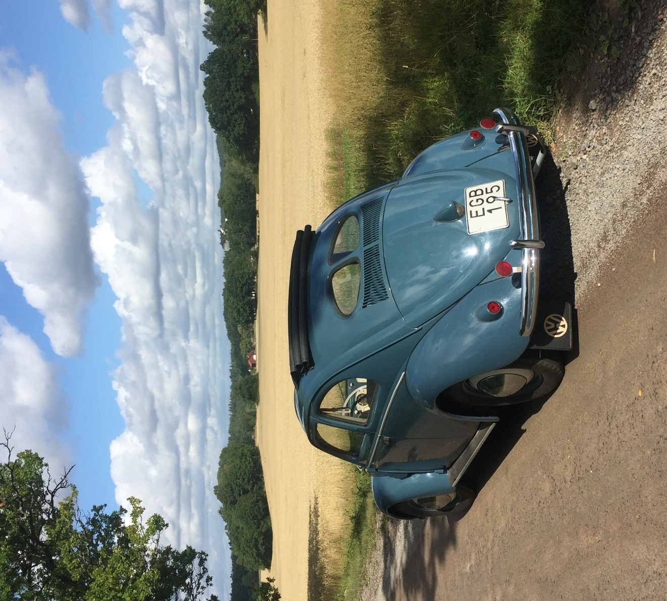 IMG_6481[2].JPG, 724.21 kb, 1321 x 1191