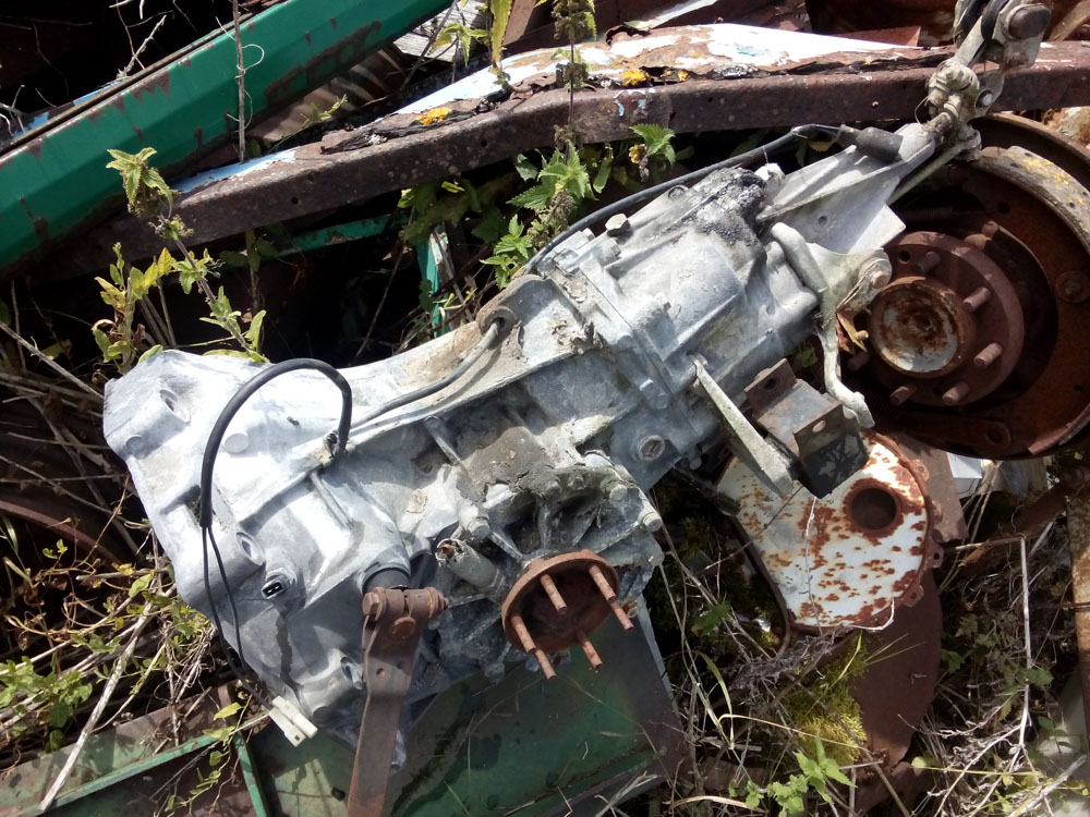 IMG_20170820_125208.jpg, 257.74 kb, 1000 x 750