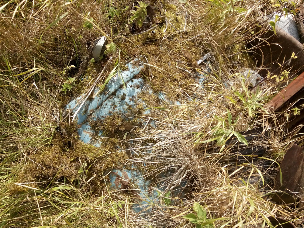 IMG_20170820_130634.jpg, 424.19 kb, 1000 x 750