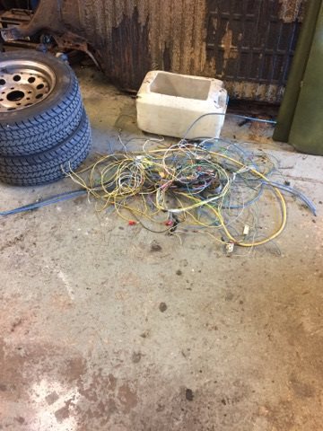 21074279_10214092744892015_1147809962_n.jpg, 44.61 kb, 360 x 480