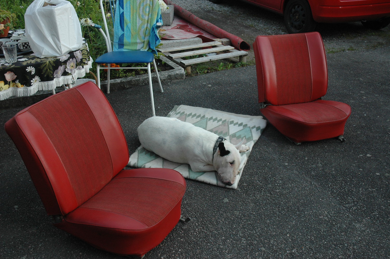 DSC_0471.JPG, 397.11 kb, 1504 x 1000