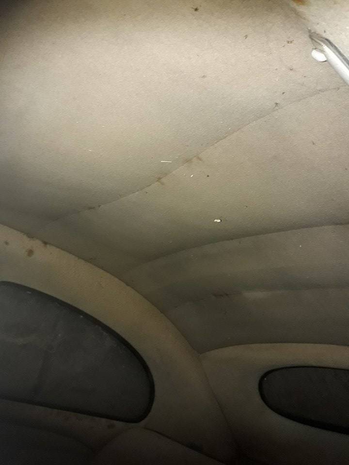 37069-2909c2ee4fd59d3402f36699351895de.jpg, 43.38 kb, 720 x 960