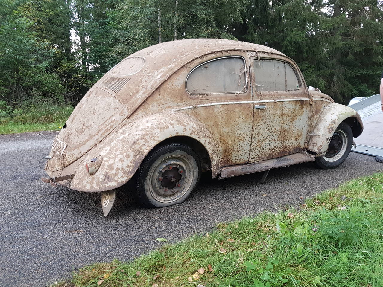 37069-9248e453c6ed750477f3df53f3c8756a.jpg, 327.79 kb, 1280 x 960