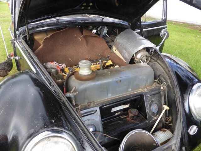 3823517813.jpg, 68.76 kb, 640 x 480