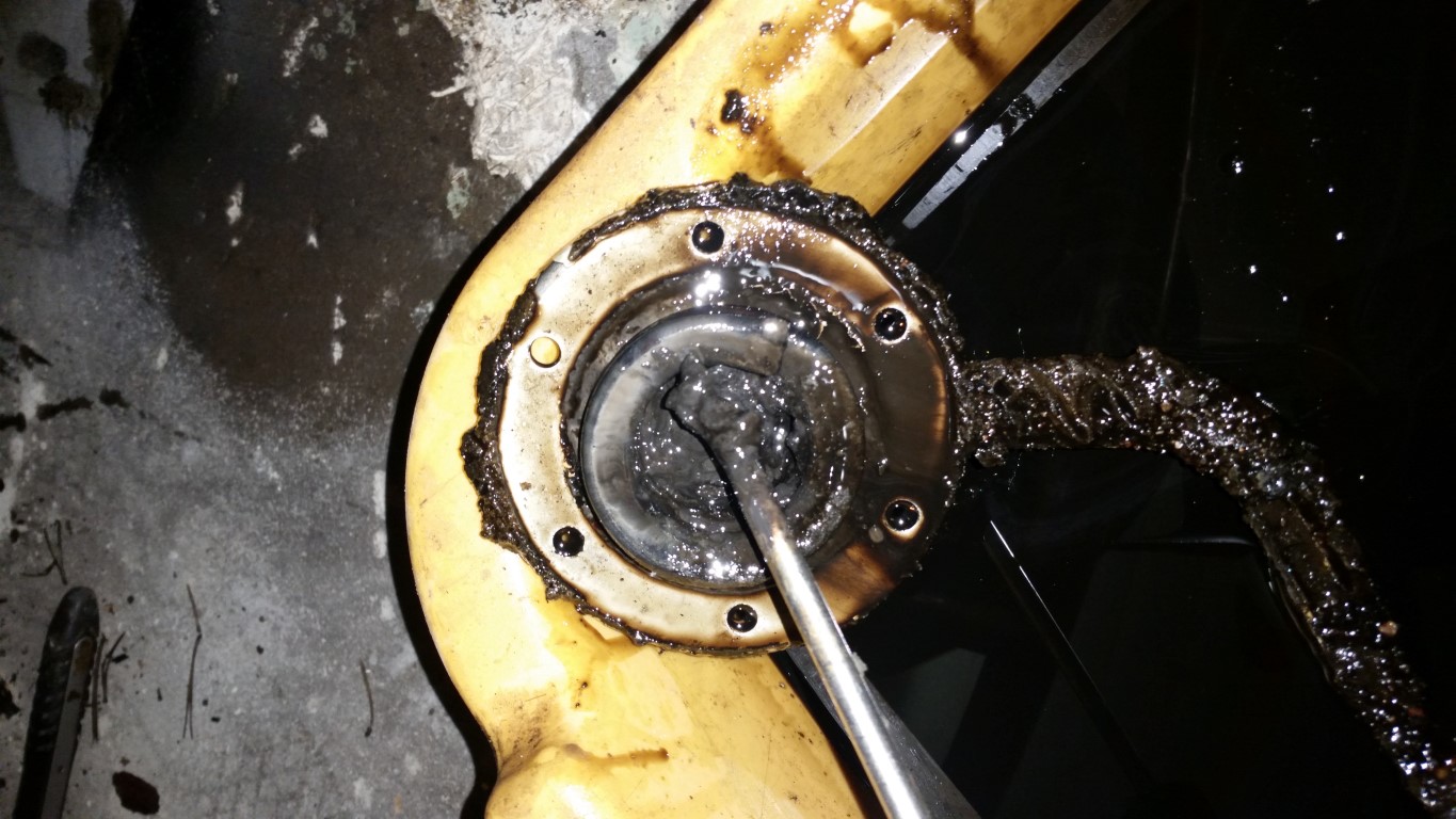 IMG_20170901_140450 (Medium).jpg, 243.34 kb, 1365 x 768