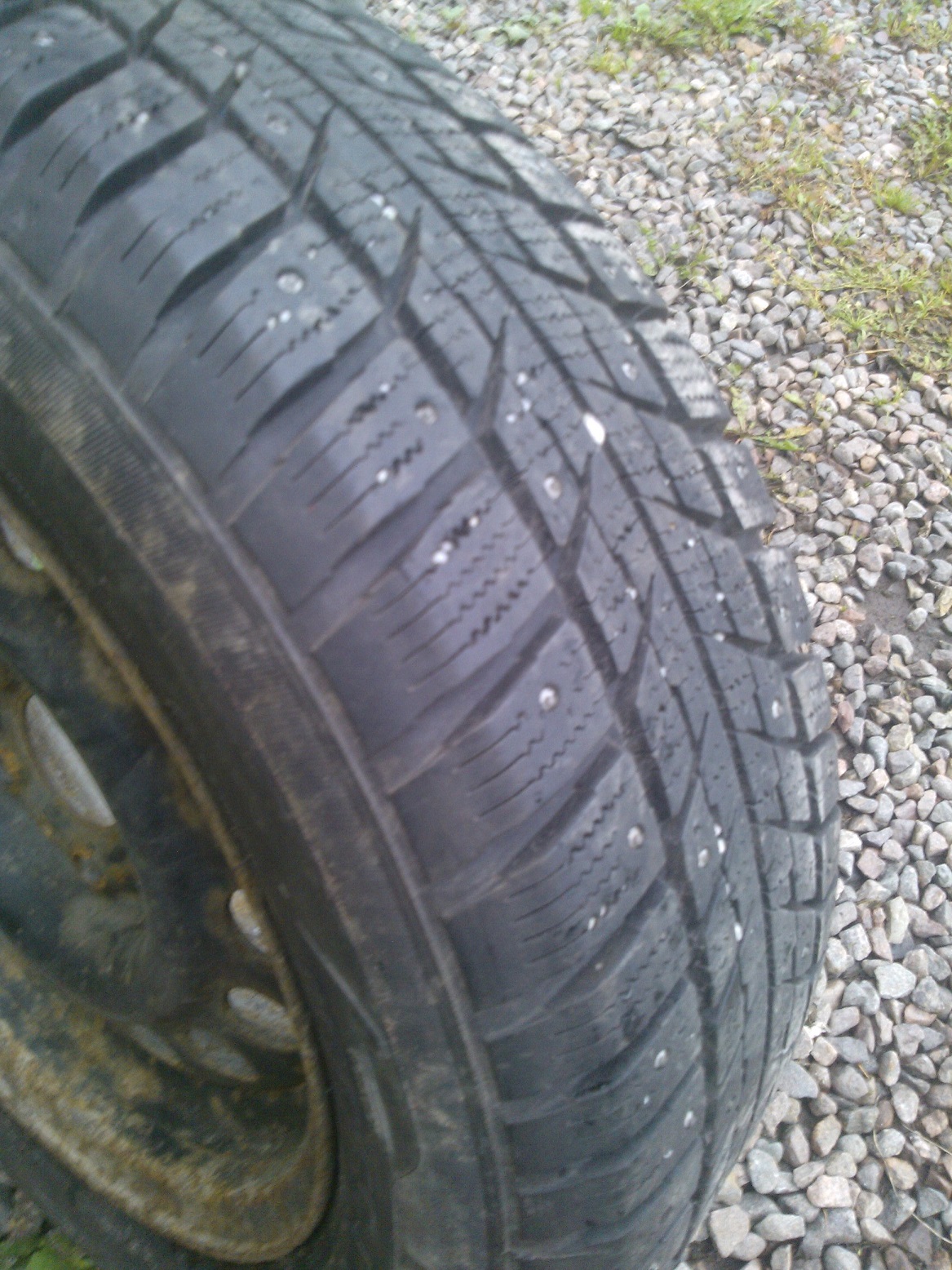 WP_001313.jpg, 607.38 kb, 1167 x 1556