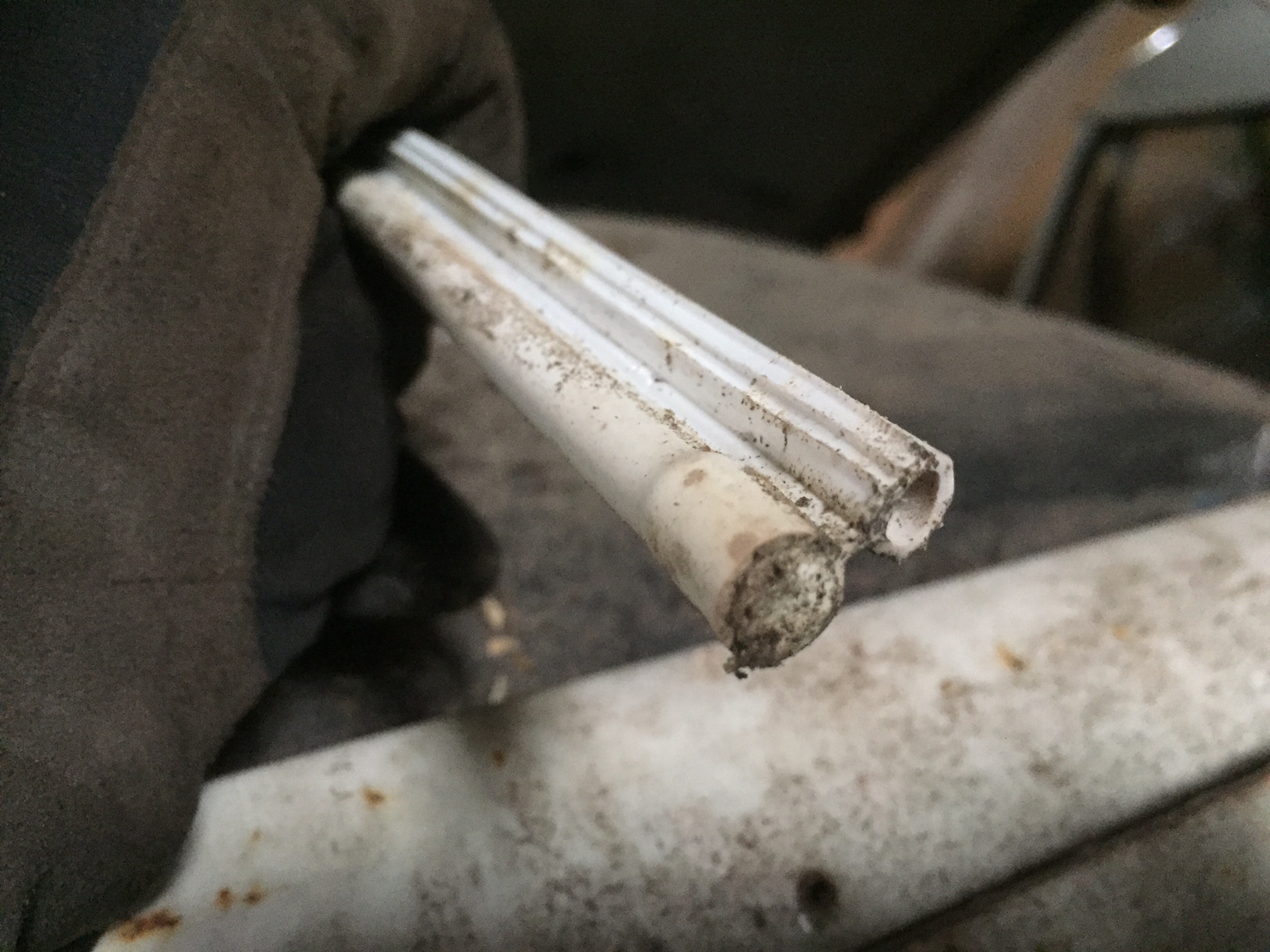 IMG_0560.JPG, 612.25 kb, 1632 x 1224