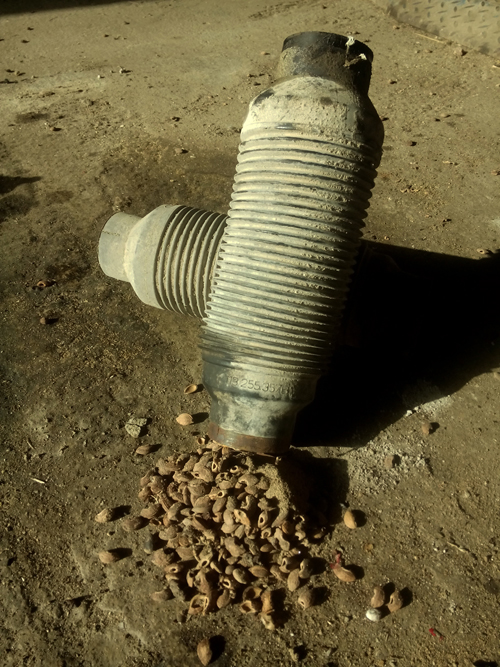 IMG_20170921_152717.jpg, 350.9 kb, 500 x 667