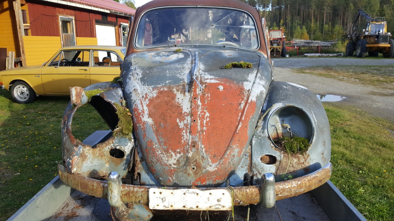 thumbnail_20170913_170921.jpg, 314.05 kb, 1280 x 720