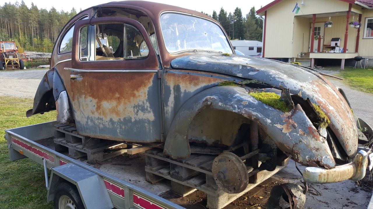 thumbnail_20170913_170931.jpg, 288.49 kb, 1280 x 720