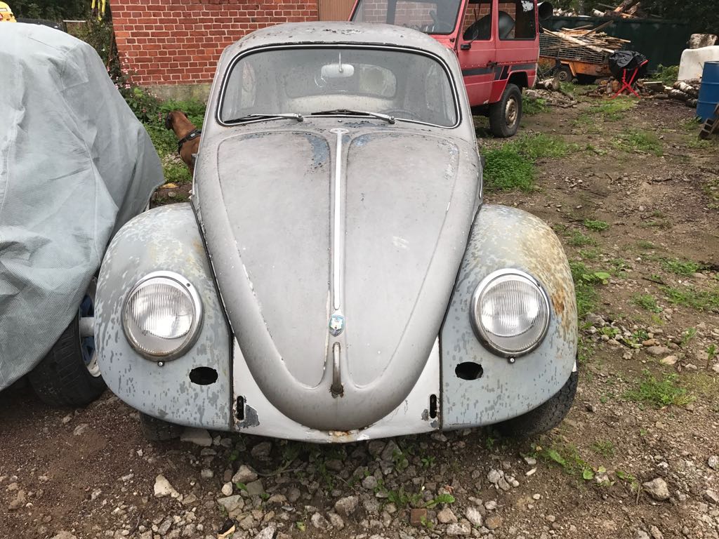 IMG-20170901-WA0039.jpg, 171.01 kb, 1024 x 768