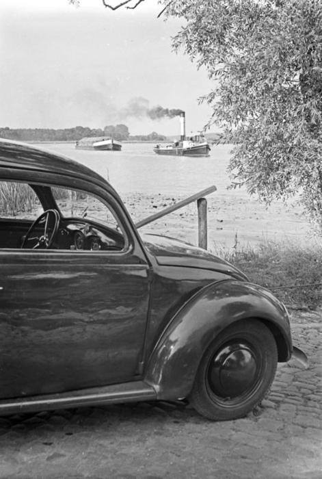 22007327_2007695372847974_7063978398735805119_n.jpg, 49.59 kb, 471 x 700