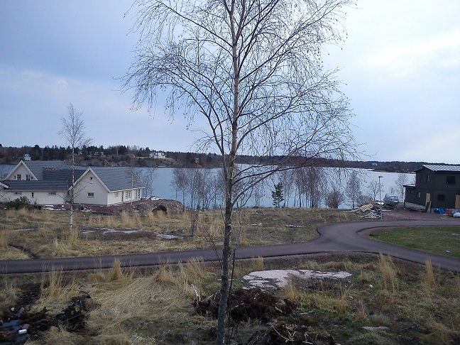 02.jpg, 169.09 kb, 648 x 486