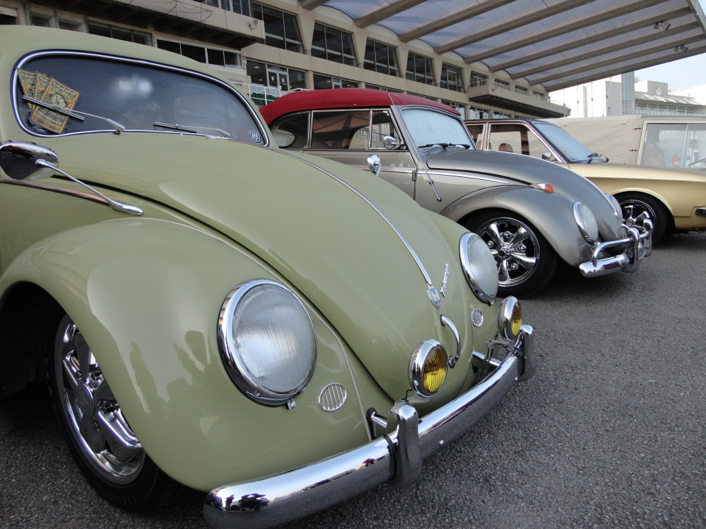 DSC00082.jpg, 252.42 kb, 1024 x 768