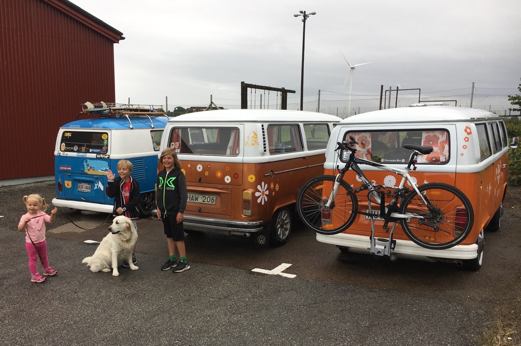 IMG_1031.JPG, 248.08 kb, 1024 x 681