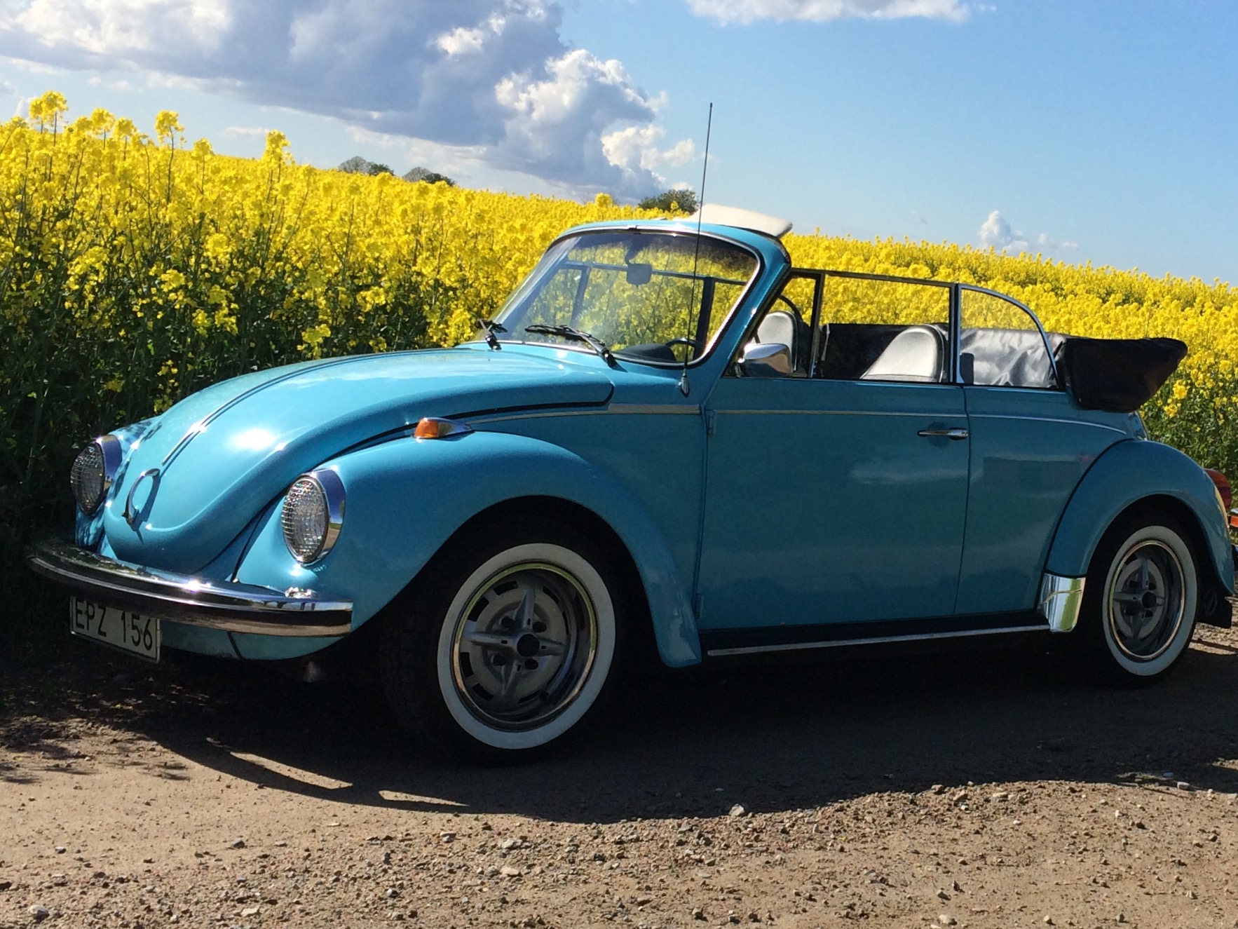 IMG_1711.jpg, 597.8 kb, 1766 x 1325