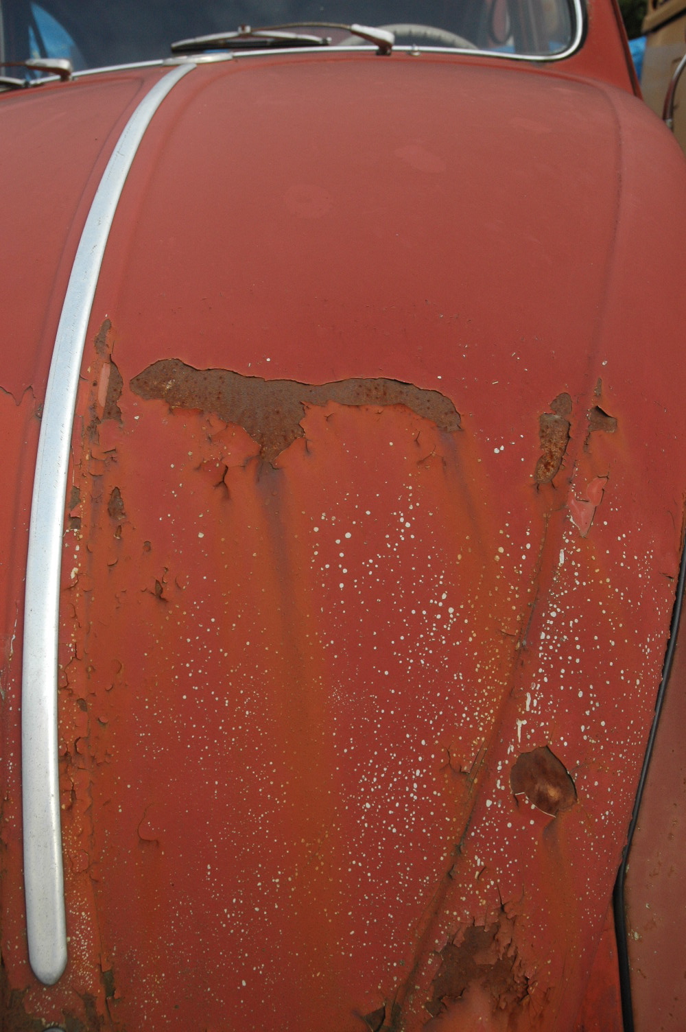 DSC_0541.jpg, 528.71 kb, 1000 x 1504