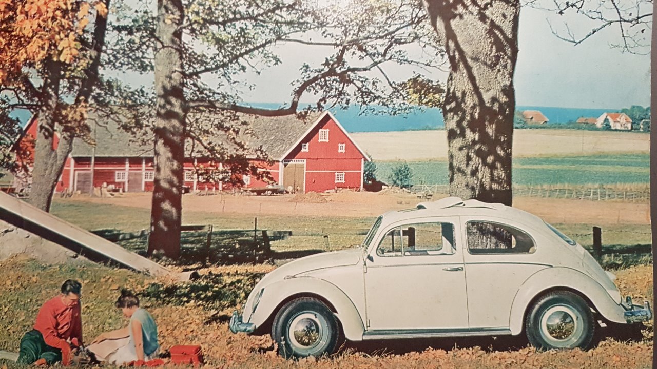 20171024_192452.jpg, 308.01 kb, 1280 x 720