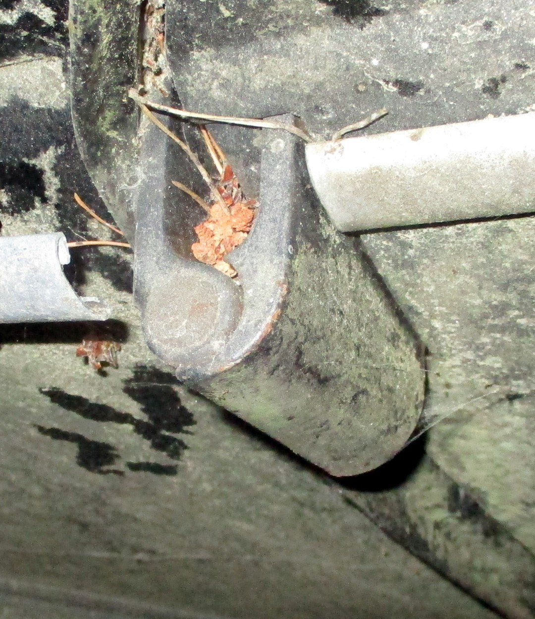 hinge (1).JPG, 413.17 kb, 1080 x 1248