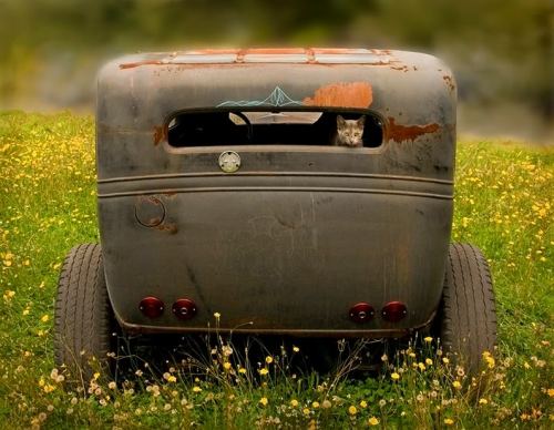 image.jpeg, 52.97 kb, 500 x 388