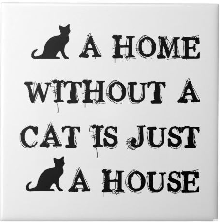 katt.JPG, 37.23 kb, 455 x 459