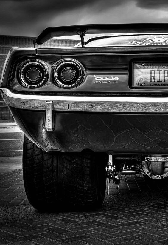 image.jpeg, 136.86 kb, 564 x 820