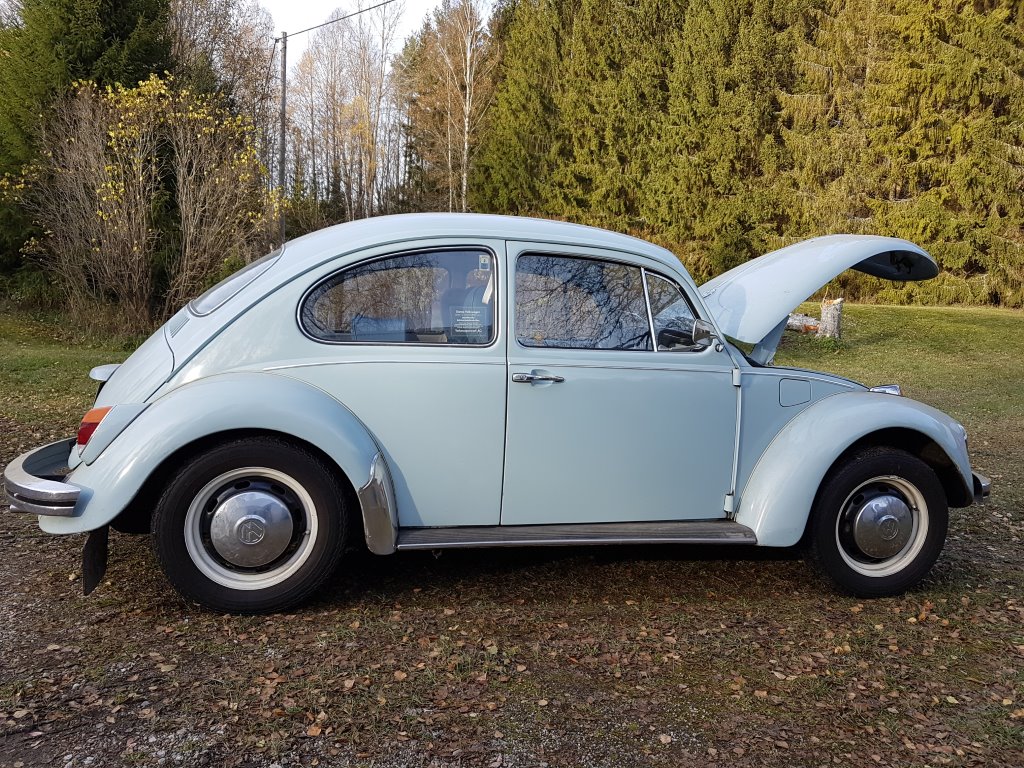 20171031_132948.jpg, 352.44 kb, 1024 x 768