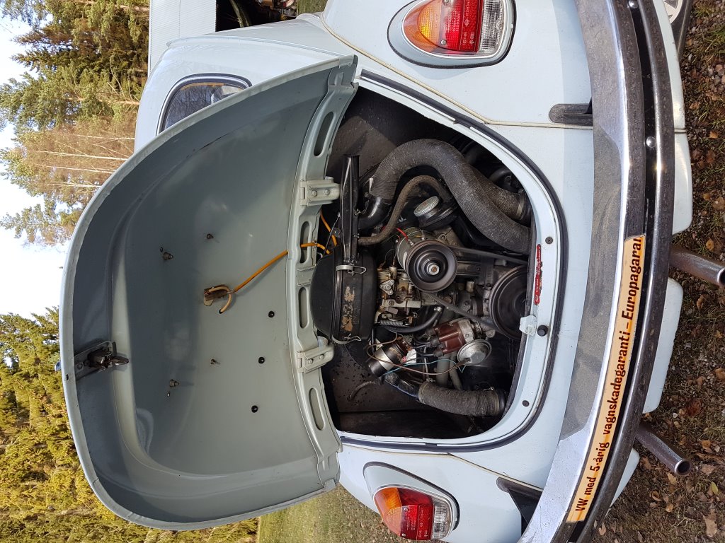 20171031_133025.jpg, 258.76 kb, 1024 x 768