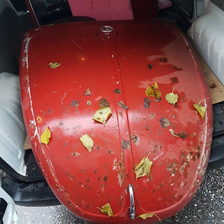 20171114_130400.jpg, 109.68 kb, 768 x 768