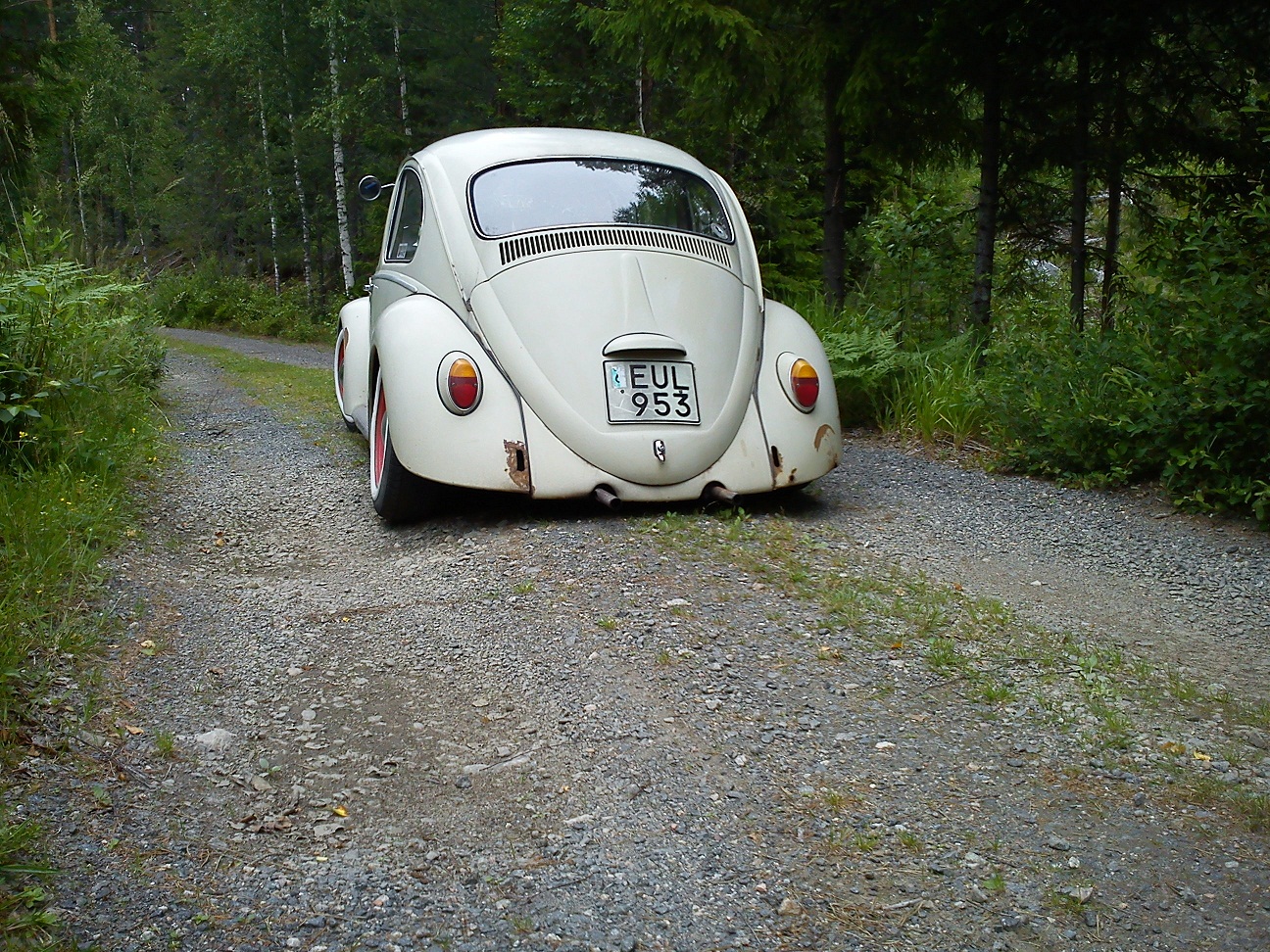 DSC00106.jpg, 748.35 kb, 1296 x 972