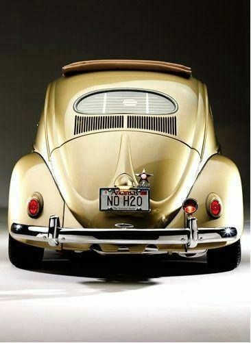 NOH2O.jpg, 37.55 kb, 366 x 501