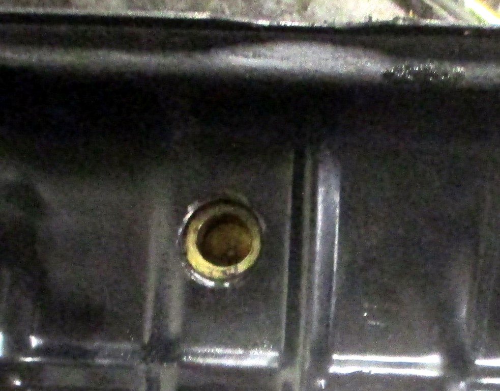 IMG_7634b (Medium).JPG, 160.34 kb, 983 x 768