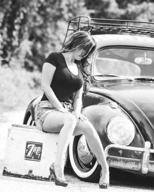 19.png, 234.73 kb, 500 x 623