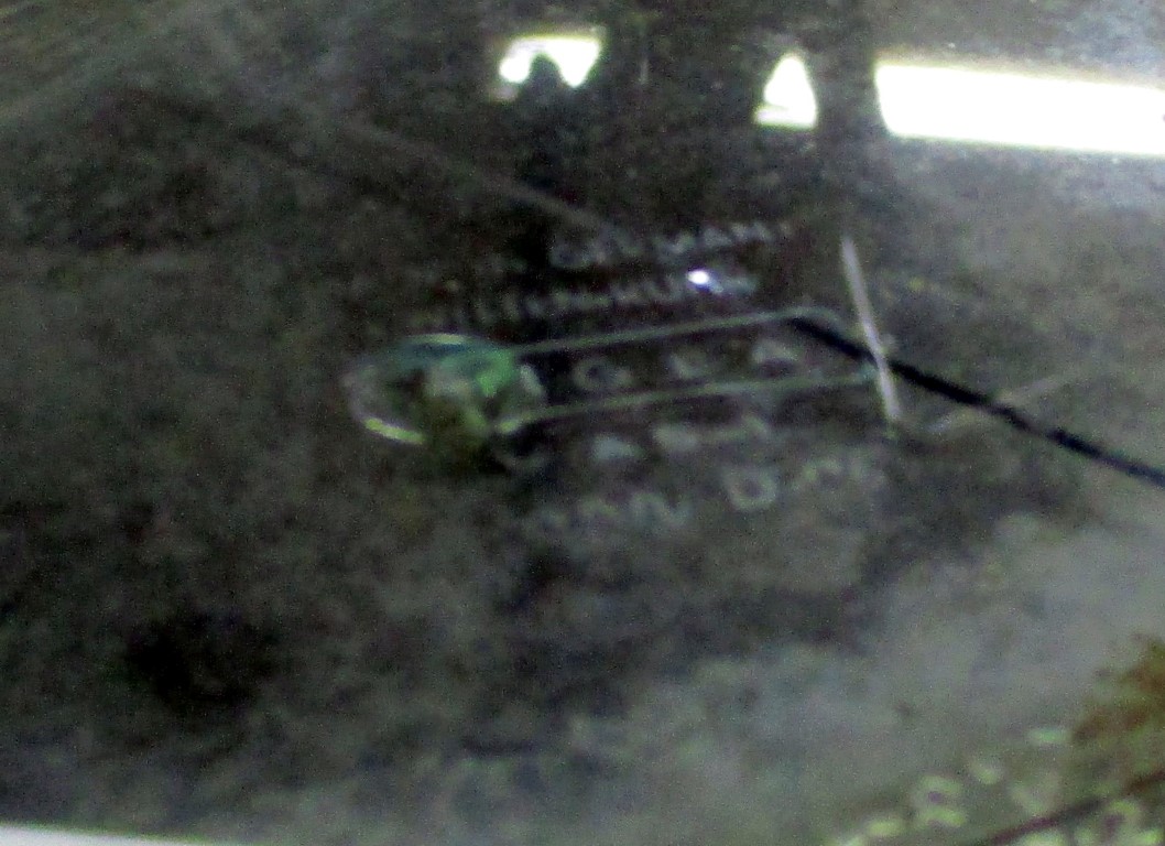 IMG_8072b (Medium).JPG, 192.06 kb, 1058 x 768