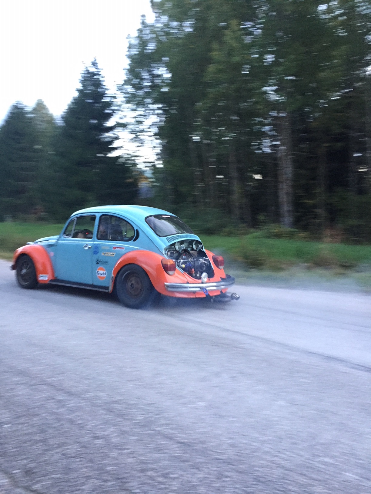 IMG_2631.jpg, 555.77 kb, 1224 x 1632