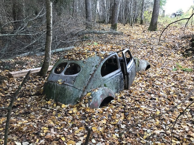 IMG_2724.jpg, 231.17 kb, 640 x 480