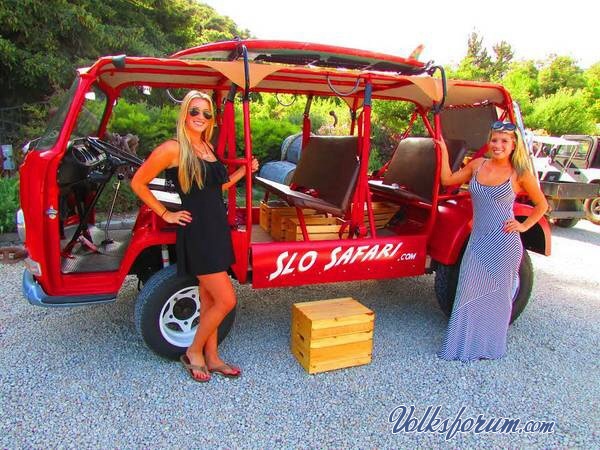 438.jpg, 107.8 kb, 600 x 450