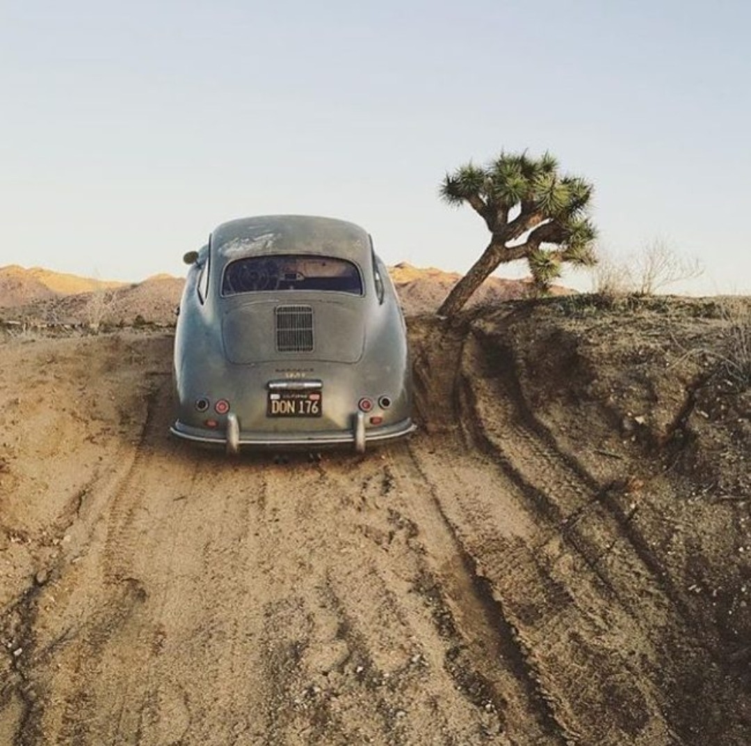 tumblr_oweqnaGid11u0xj27o1_1280.jpg, 264.06 kb, 1080 x 1072