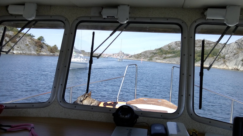 IMG_20170722_102349_zpsthzxblvf.jpg, 163.87 kb, 800 x 449