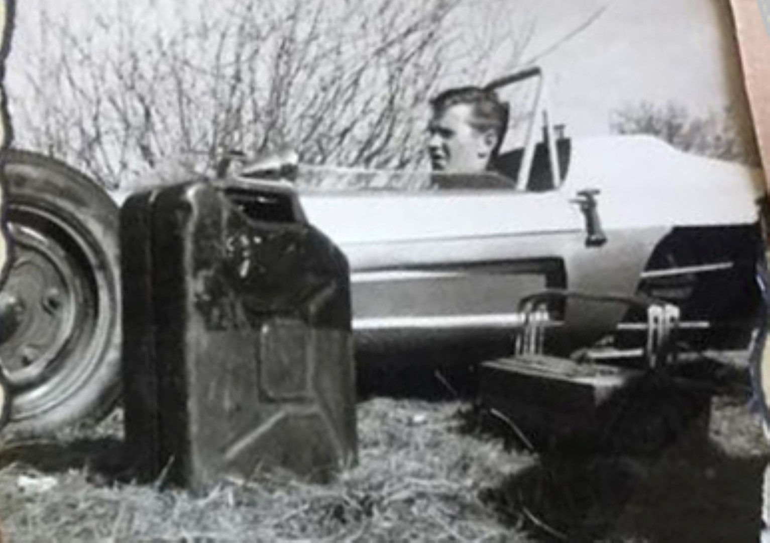 beskärd (Large).jpg, 206.98 kb, 1533 x 1080