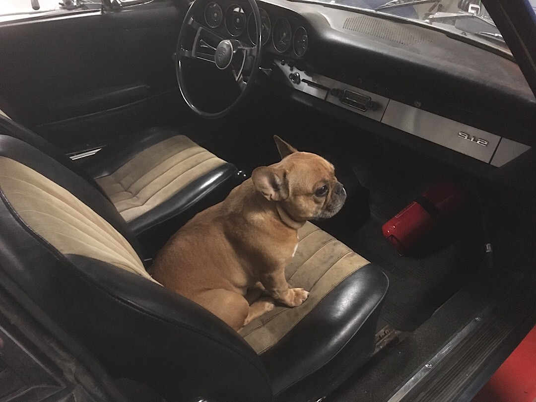 A5A8AFD4-7E6D-4FD5-A8A7-43A47717F3D4.jpeg, 175.1 kb, 1080 x 810