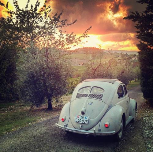 tumblr_oefk9wAysh1qigbxfo1_500.jpg, 50.16 kb, 500 x 498