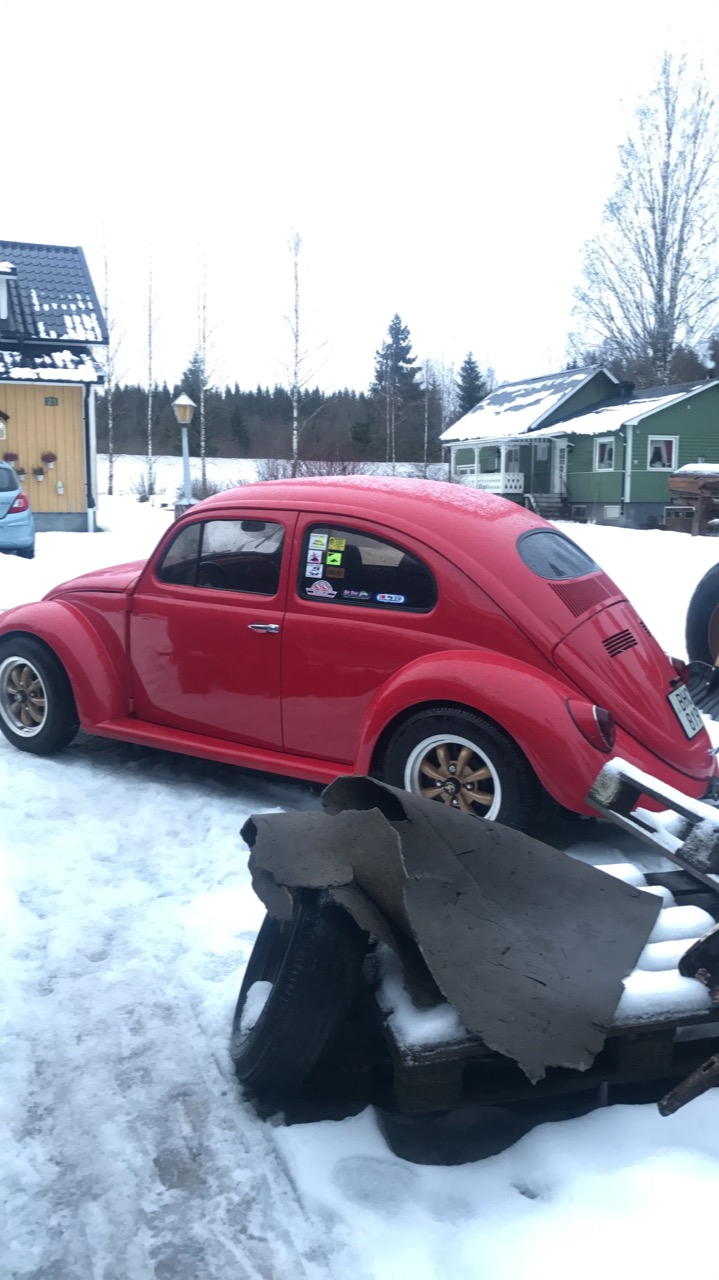 IMG_3937.JPG, 179.16 kb, 719 x 1280