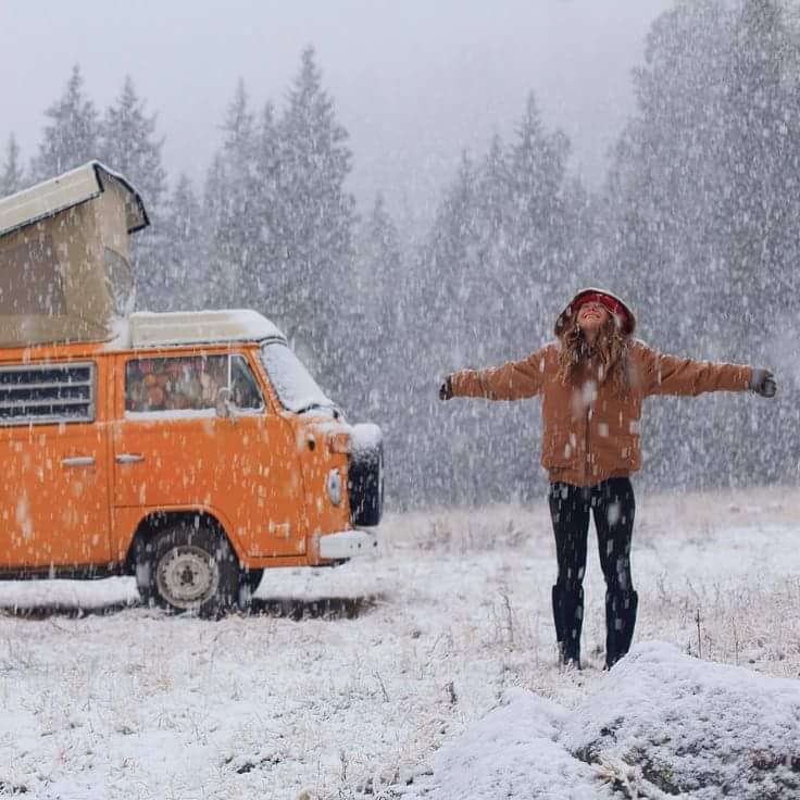 438.jpeg, 74.11 kb, 736 x 736