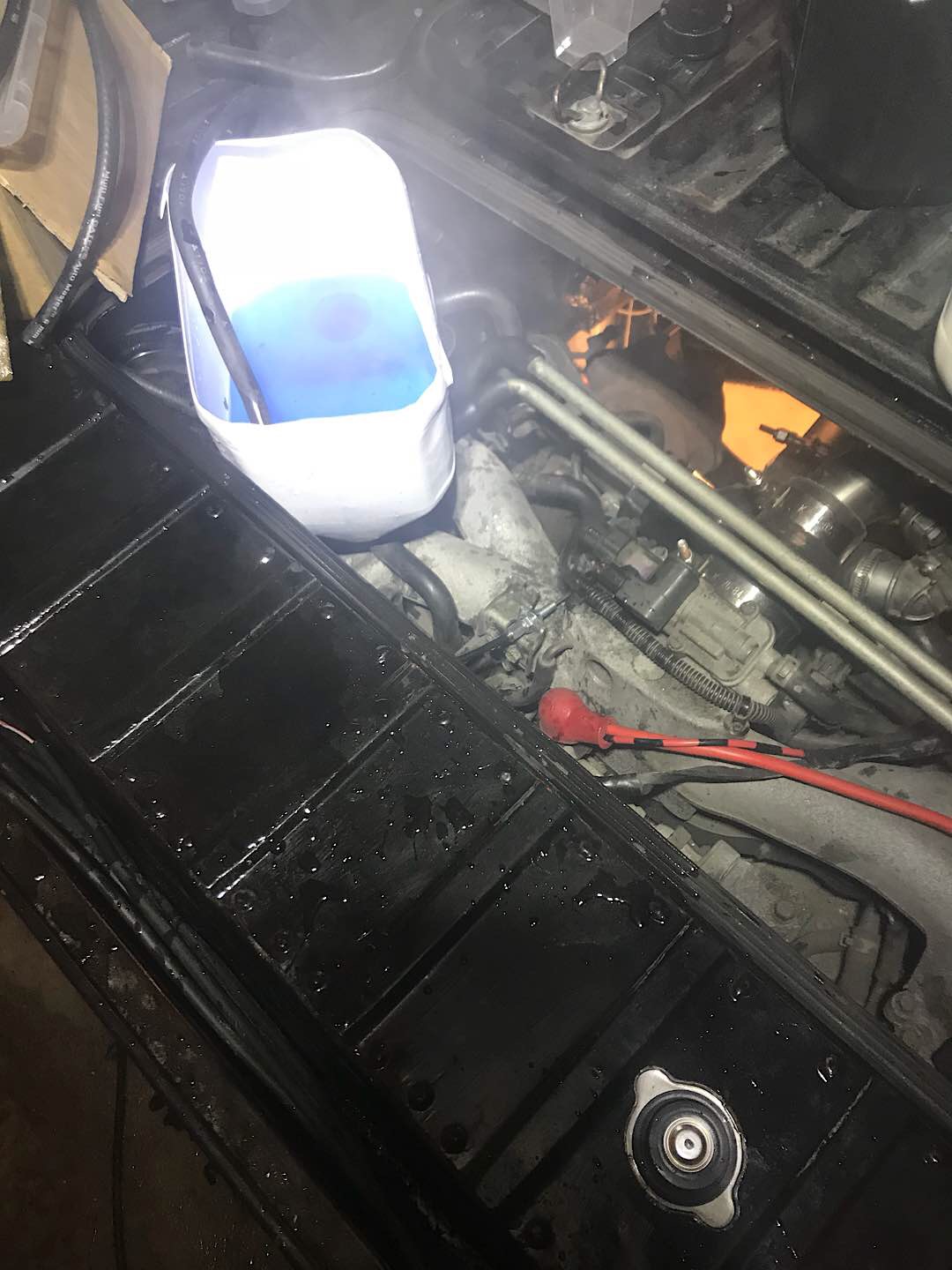 27710504_10157115535029502_1190635744_o.jpg, 173.92 kb, 1080 x 1440